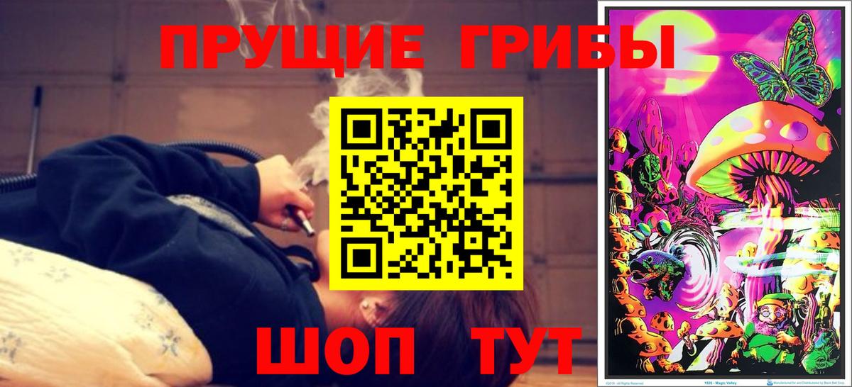 Псилоцибиновые грибы Cubensis Донской