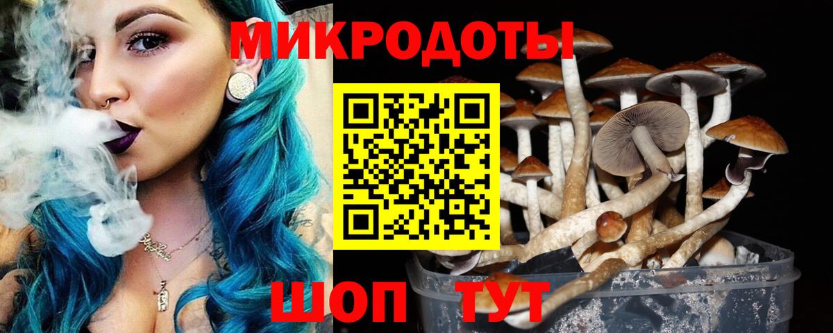 Донской  Галлюциногенные грибы Psilocybine cubensis  Вход с VPN 