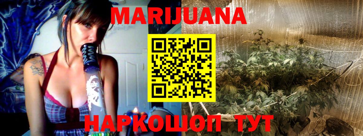 Канабис Bruce Banner  Каннабис план  Марихуана индика  Донской  Марихуана планчик  Вход с VPN 
